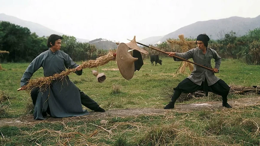 16.	Шаолинь вызывает ниндзя / Zhong hua zhang fu (1978)