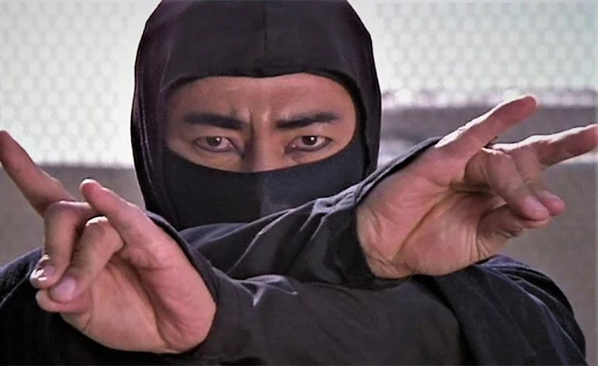 21.	Месть ниндзя / Revenge of the Ninja (1983)