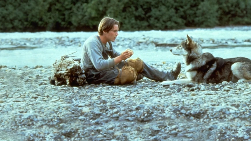 Вспоминаем 1991 год – 50 лучших фильмов, от адреналиновых шедевров до мелодрам