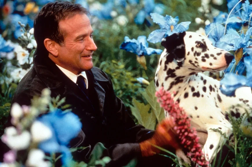 50 лучших фильмов 1998 года