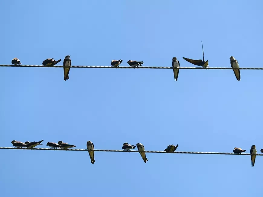 Примеры фотографий, сделанных камерой HUAWEI Pura
80 Ultra