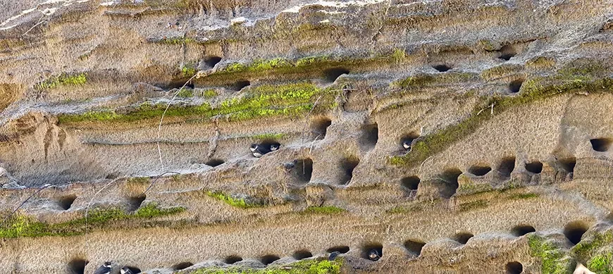 Примеры фотографий, сделанных камерой HUAWEI Pura
80 Ultra