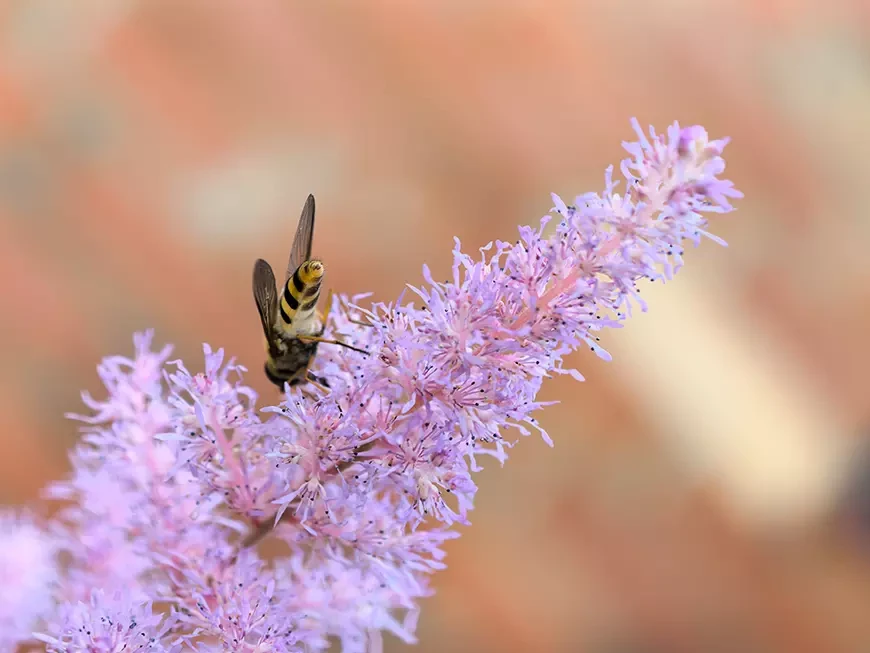 Примеры фотографий, сделанных камерой HUAWEI Pura
80 Ultra