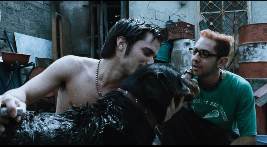 Какой фильм оказался лучшим
на рубеже веков?