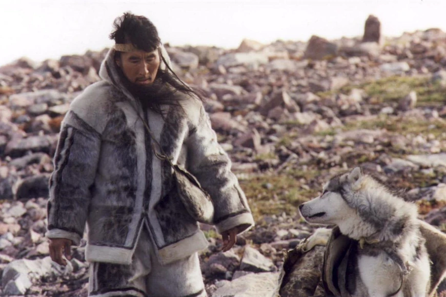 50 лучших фильмов 2001 года – выбираем шедевры прошлого