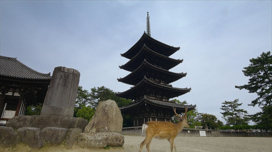 Год, изменивший планету