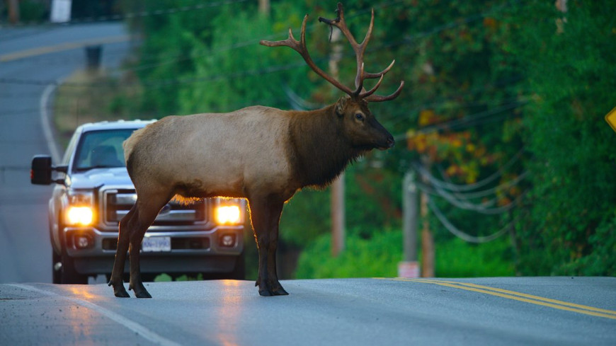 Наш живой мир