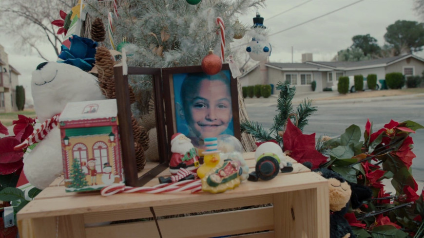 Кто убил Габриэля Фернандеса