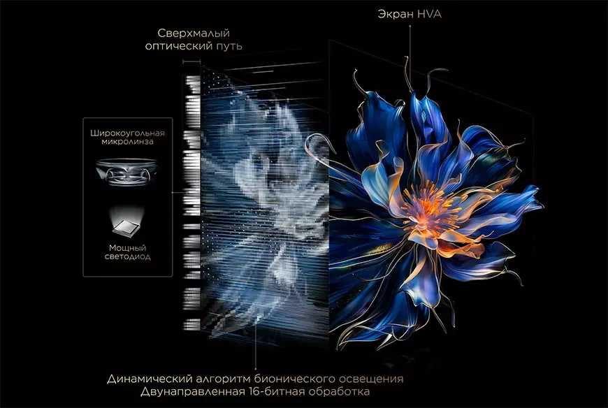 4K-телевизор TCL 75C6K