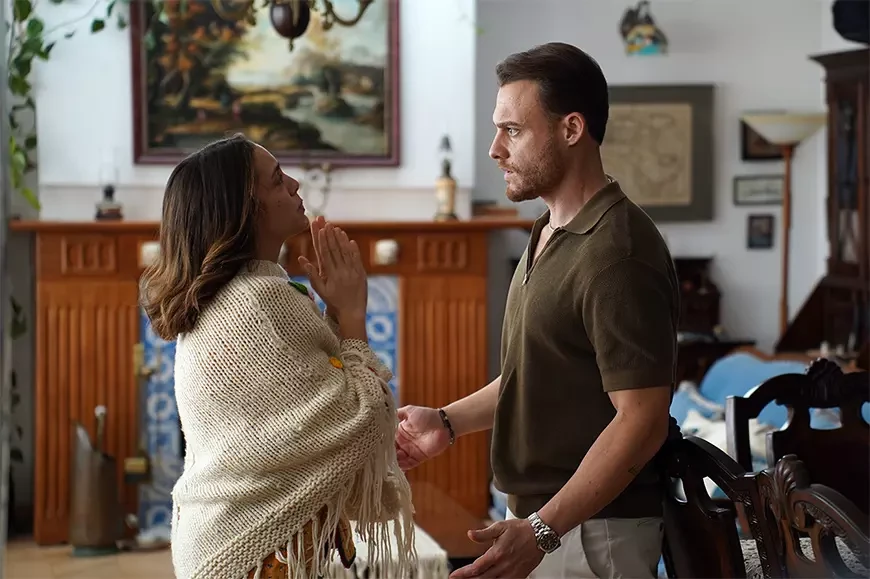 Платоническая любовь / Platonik (2025)