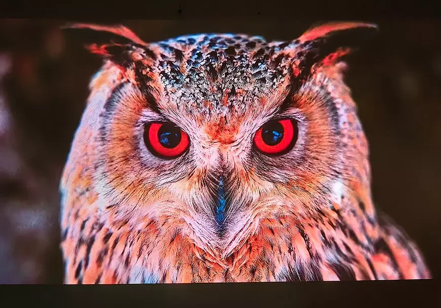 4K DLP-видеопроектор LG CineBeam S