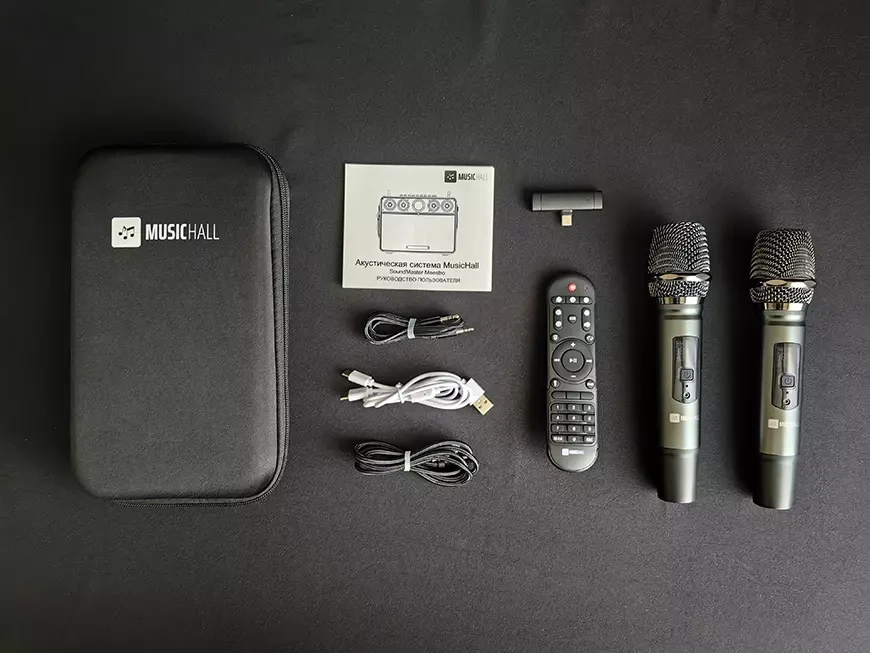 Беспроводная акустическая система / гитарный усилитель MusicHall SoundMaster Maestro