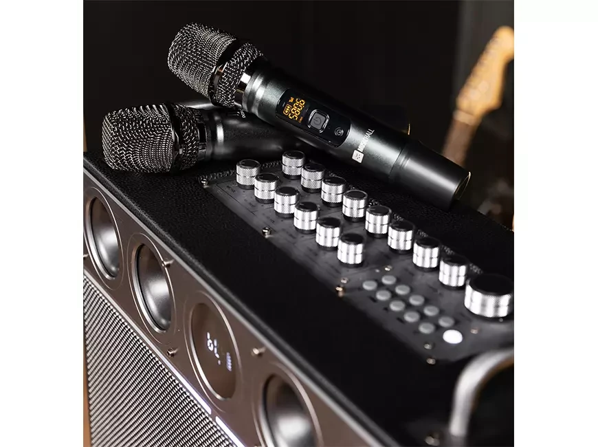 Беспроводная акустическая система / гитарный усилитель MusicHall SoundMaster Maestro