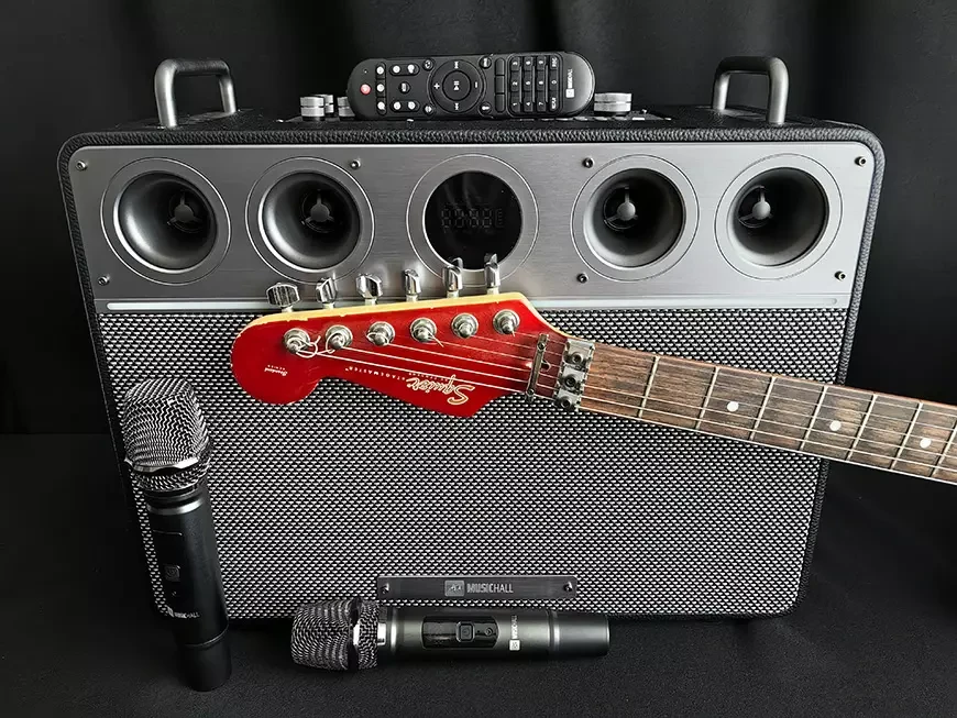 Беспроводная акустическая система / гитарный усилитель MusicHall SoundMaster Maestro