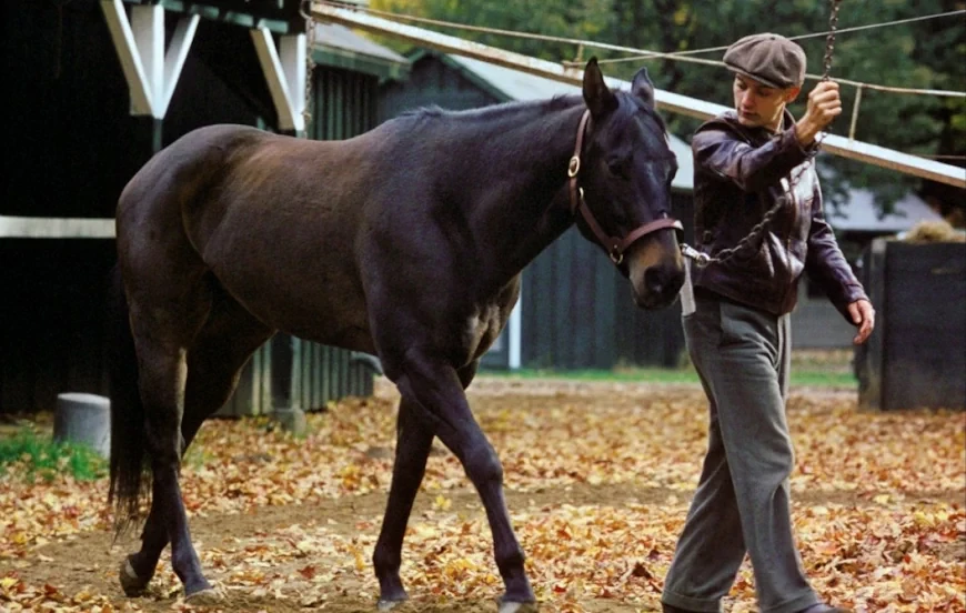 50 лучших фильмов 2003 года