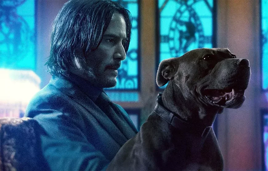 Зависимость от франшиз – почему Голливуд делает ставку на сиквелы