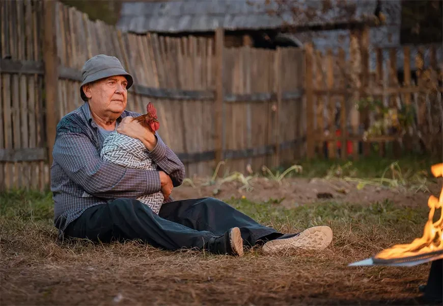 На деревню дедушке (2025)