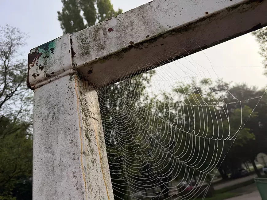 Примеры кадров, сделанных на камеру Apple iPhone 17 Pro Max