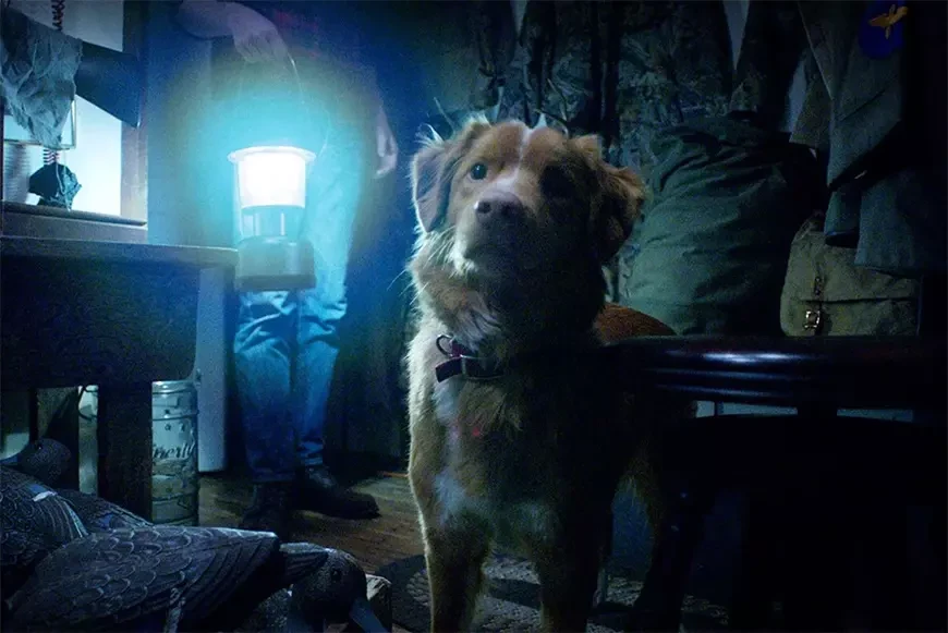 Глазами пса / Good Boy (2025)