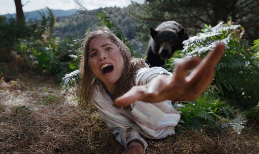 Кокаиновый медведь