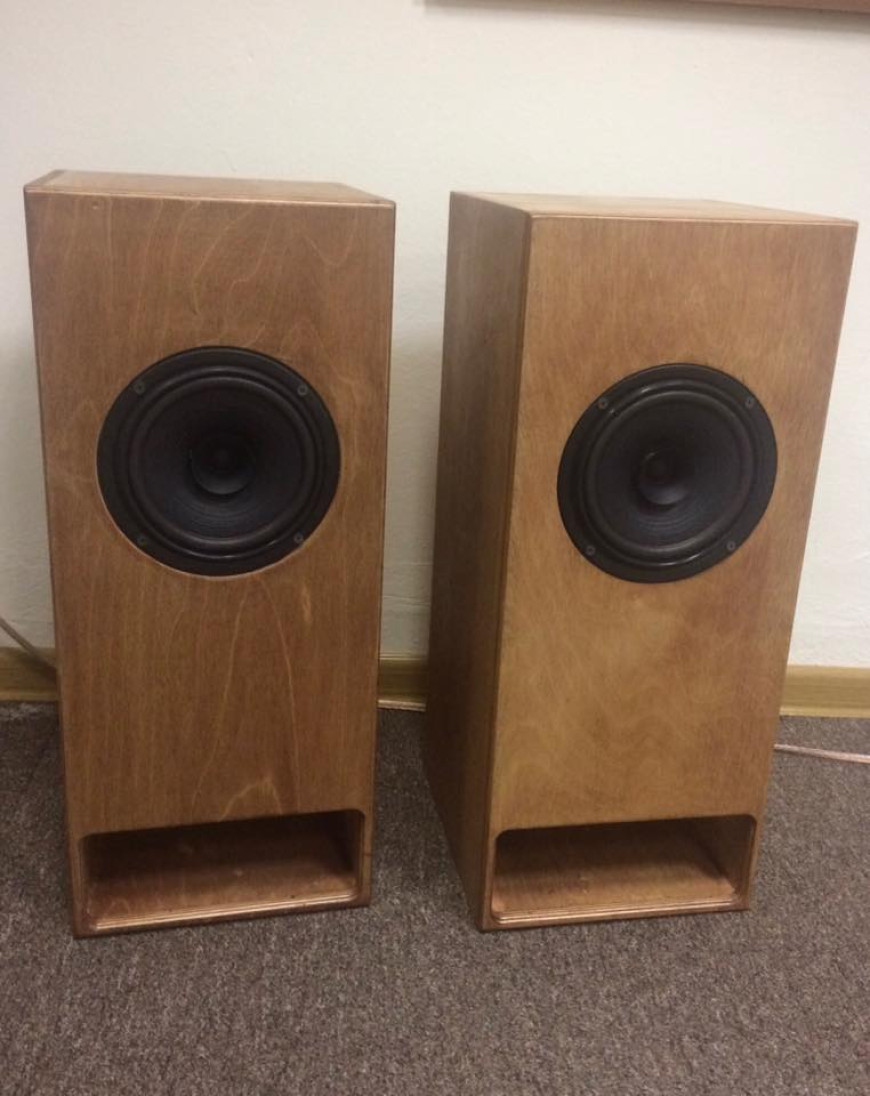 Акустическая система с лабиринтным оформлением Рогожина: отзывы