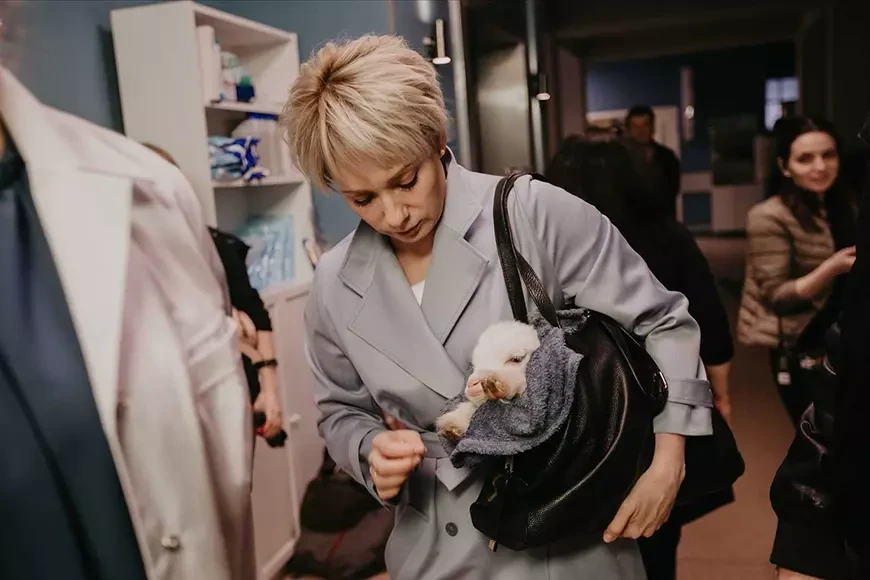 Доктор Лиза (2020)