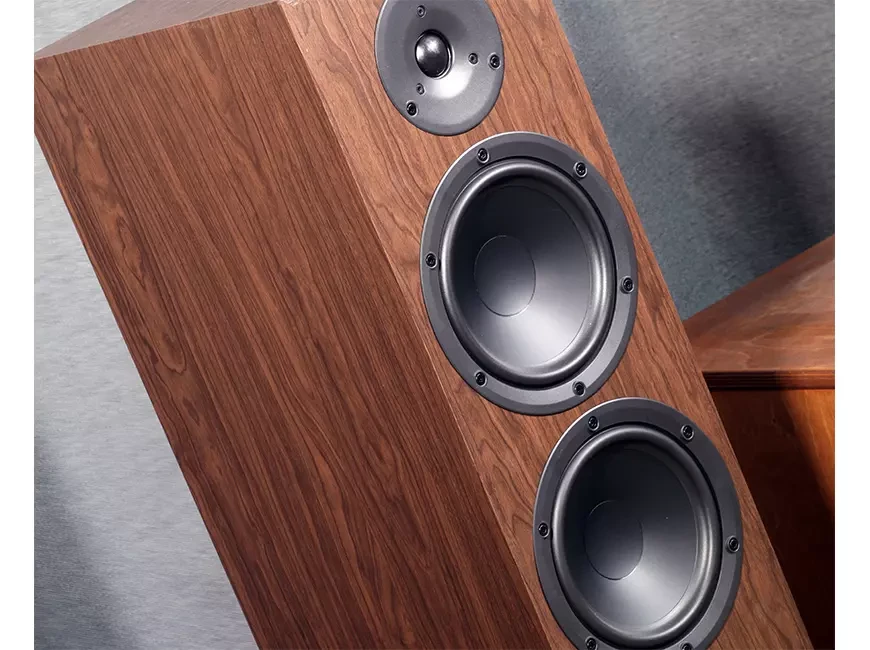 Напольные акустические системы Phaze Audio Tilia 1