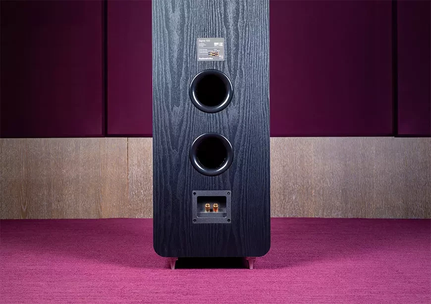 Напольные акустические системы Radiotehnika Sigma 1.02