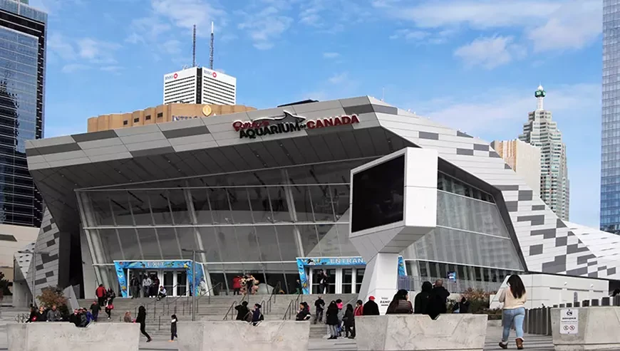 Торонто (Канада)