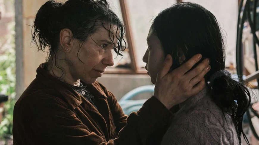 50 лучших фильмов 2025 – то, что нельзя пропустить