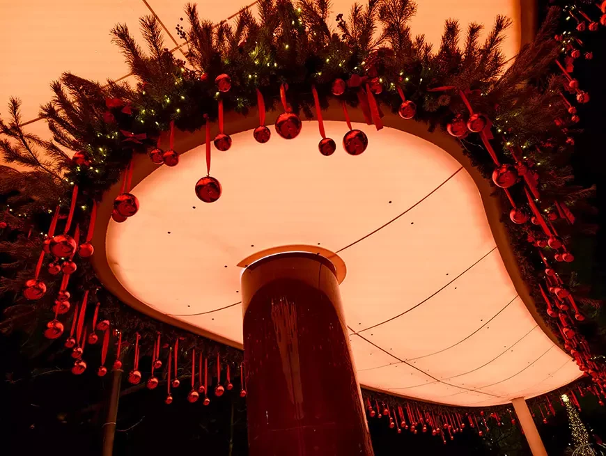 Примеры снимков, сделанных на камеру vivo X300 в режиме 200 Мп и Макросъемки