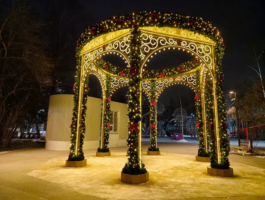 Примеры снимков, сделанных на камеру vivo X300 в режиме 200 Мп и Макросъемки