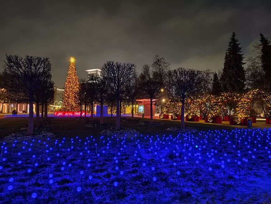 Примеры снимков, сделанных на камеру vivo X300 в режиме 200 Мп и Макросъемки