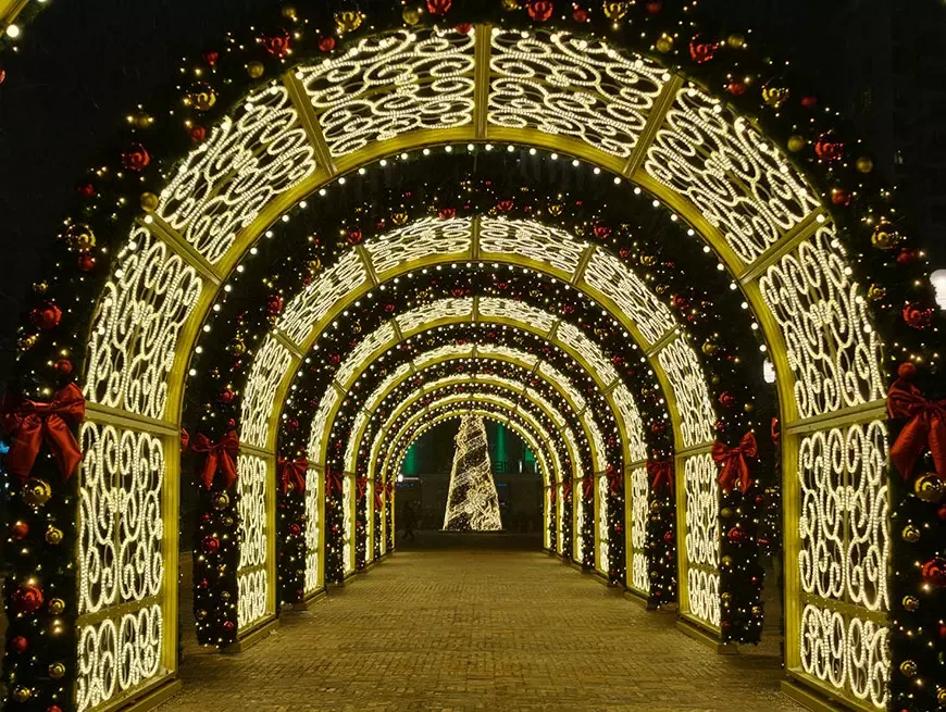 Примеры снимков, сделанных на камеру vivo X300 в режиме 200 Мп и Макросъемки