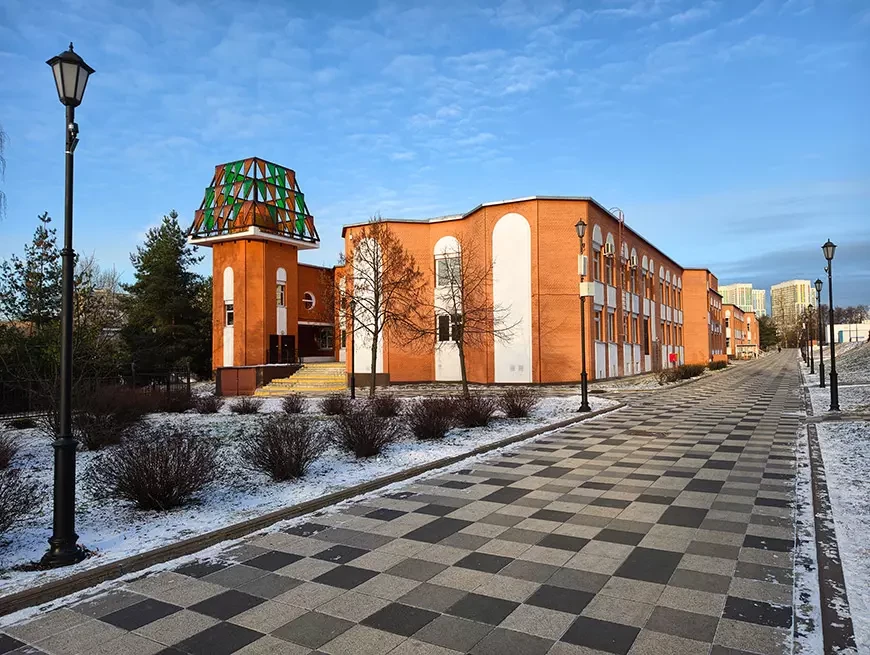 Примеры снимков, сделанных на камеру vivo X300 в режиме 200 Мп и Макросъемки