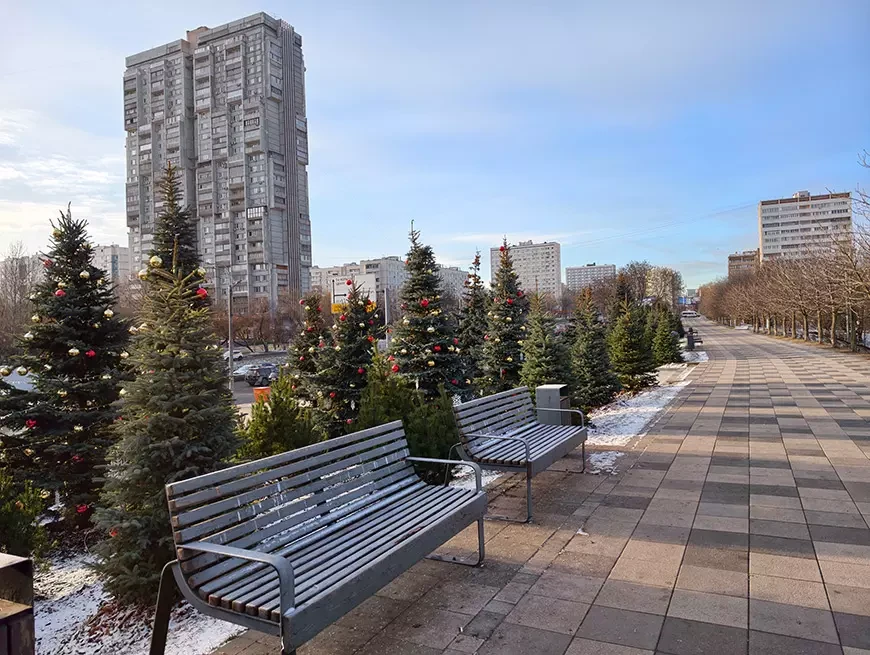 Примеры снимков, сделанных на камеру vivo X300 в режиме 200 Мп и Макросъемки