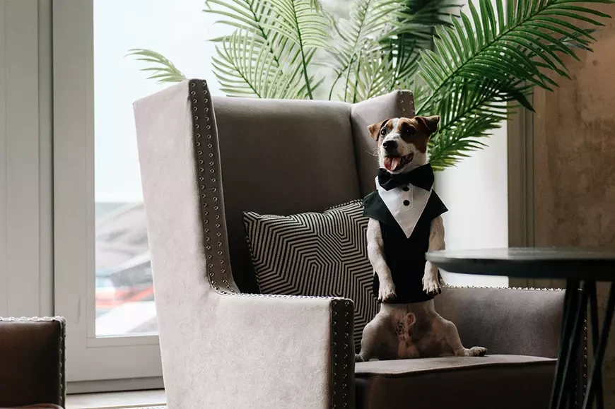 Жека Рассел (2026)