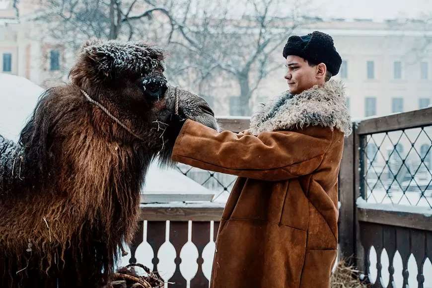 Красавица (2026)