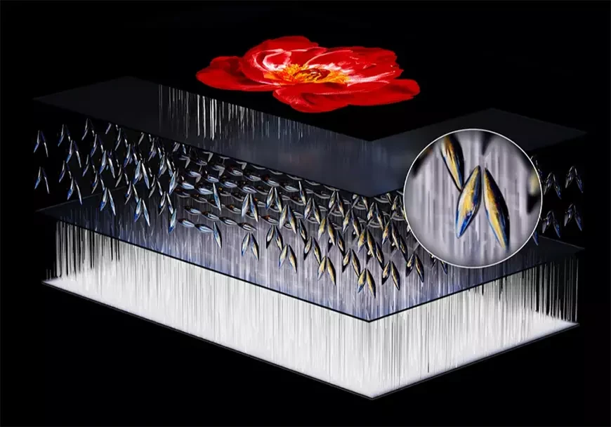 QD-Mini LED-телевизор TCL 75C8K