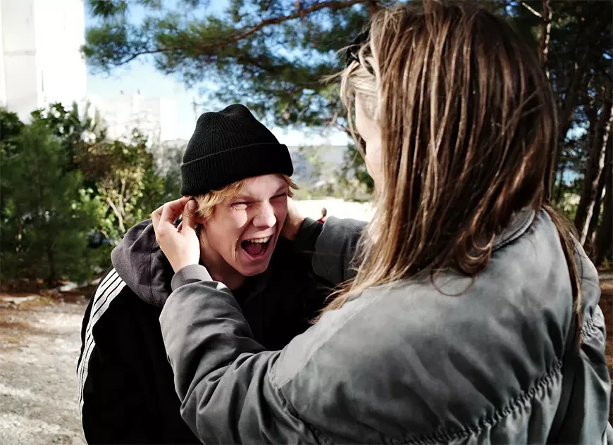 Тюльпаны (2026)