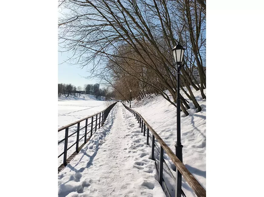 Примеры
фотографий, сделанных камерой Infinix NOTE 60