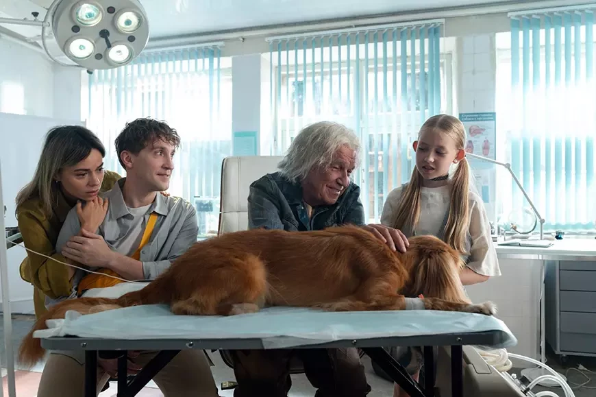 Доктор Гаф (2026)