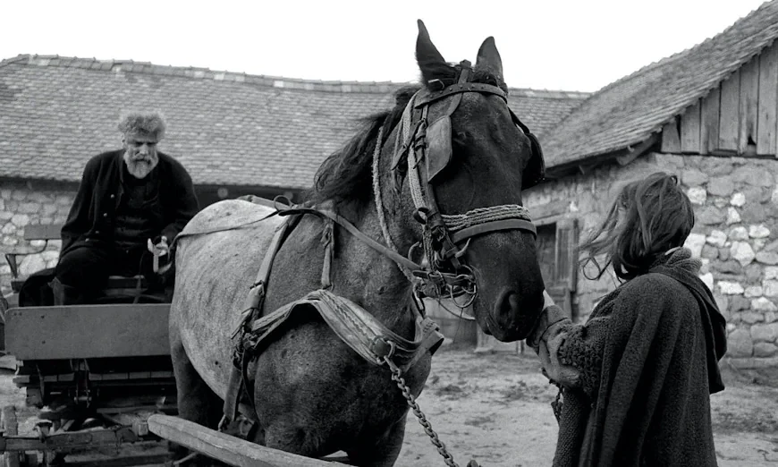 50 лучших фильмов 2011 года