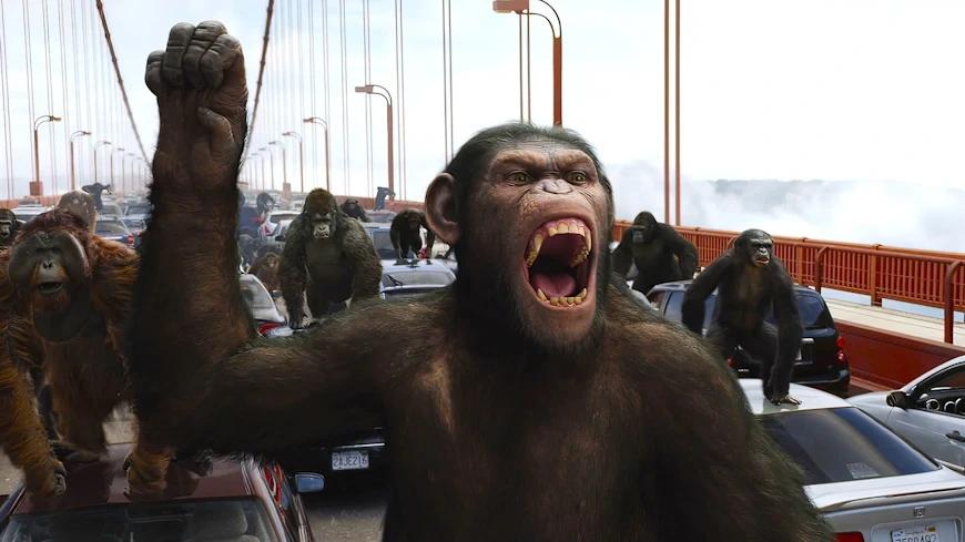 50 лучших фильмов 2011 года