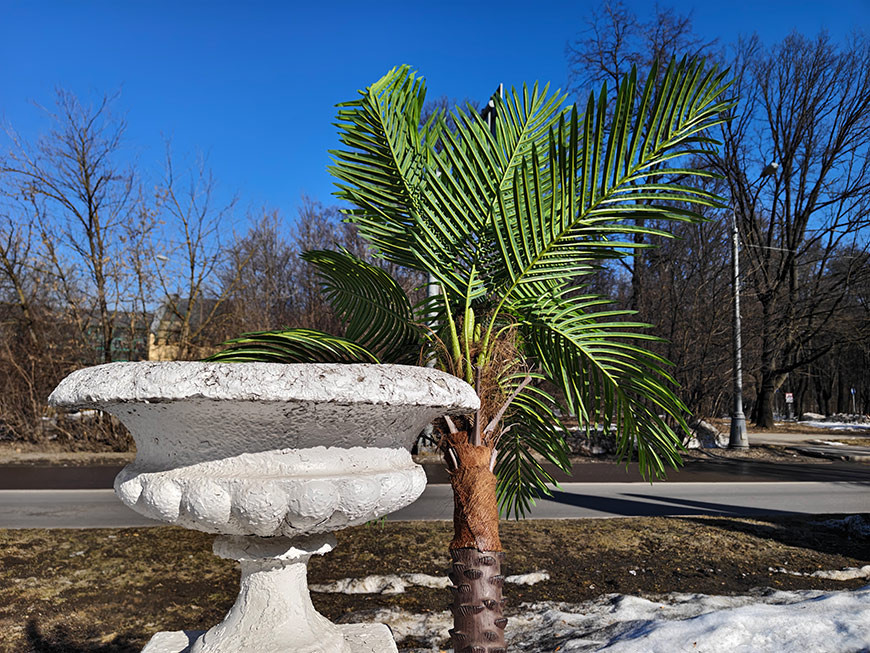 Игровой смартфон iQOO 15R