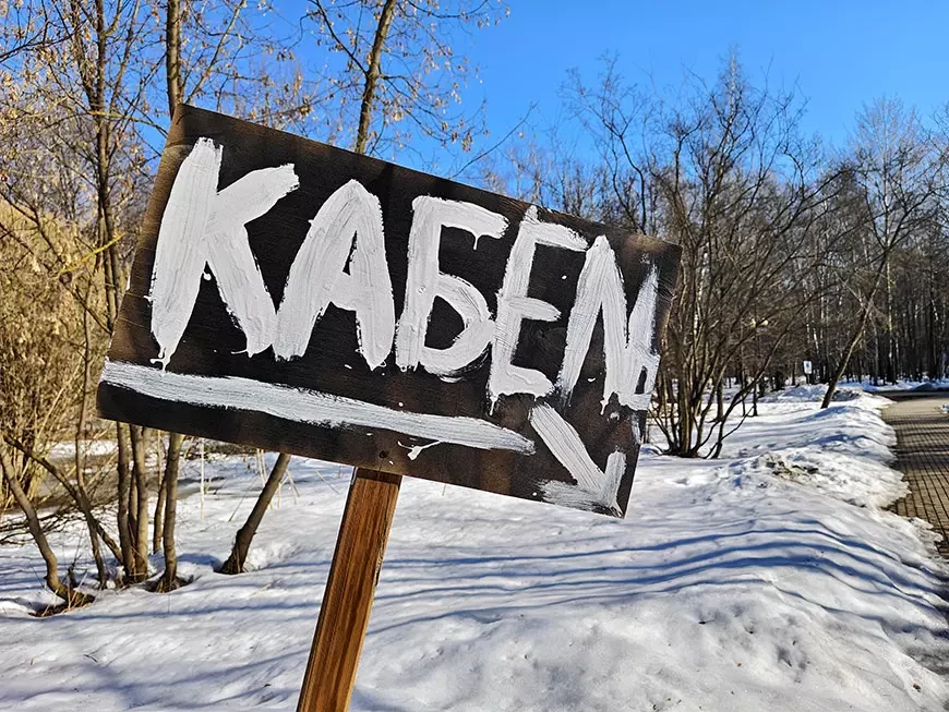 Примеры
фотографий, сделанных камерой смартфона iQOO 15R