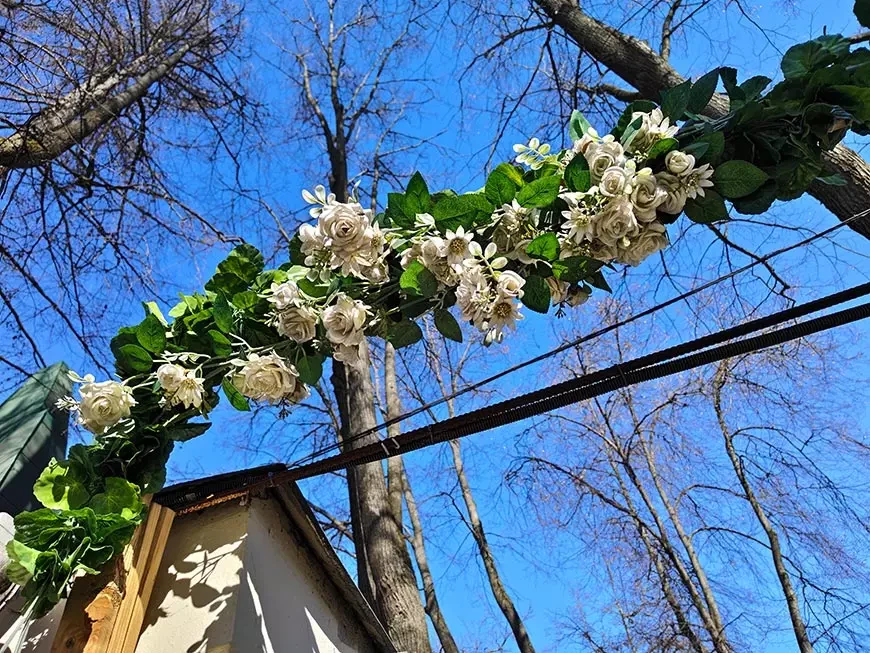 Примеры
фотографий, сделанных камерой смартфона iQOO 15R