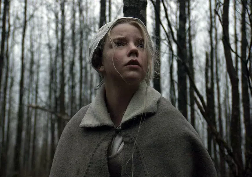 Ведьма&nbsp;/ The VVitch: A New-England Folktale (2015)