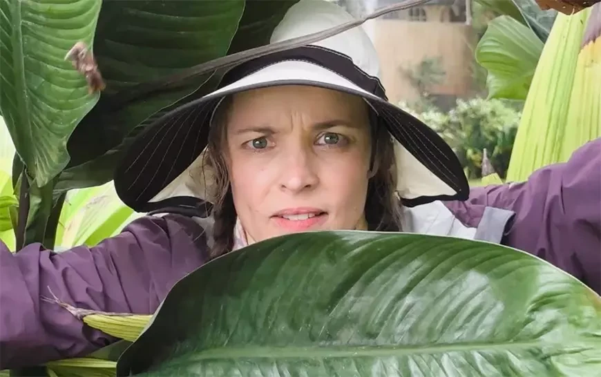 На помощь! / Send Help (2026)