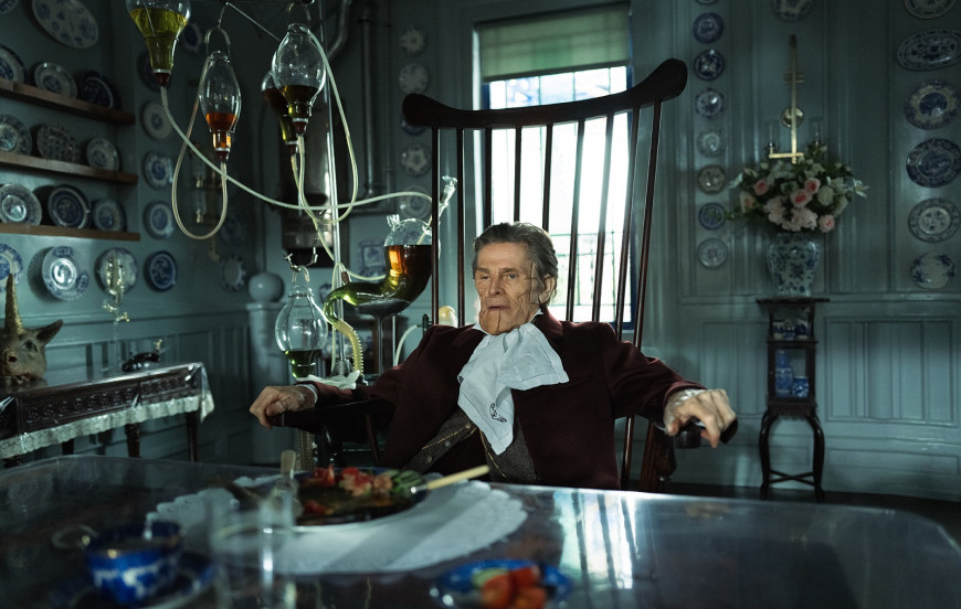 Бедные-несчастные / Poor Things (2023)